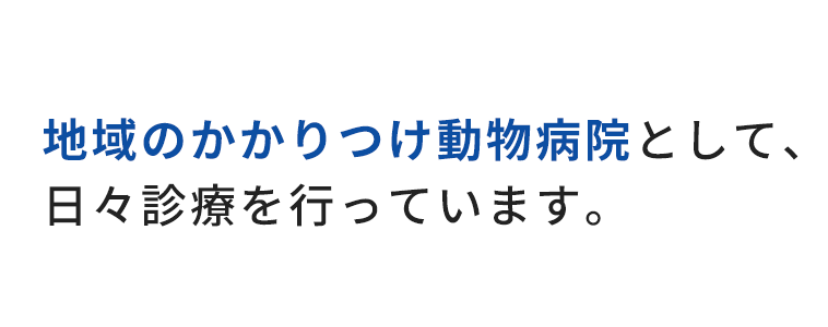 地域のかかりつけ動物病院として、日々診療を行っています。